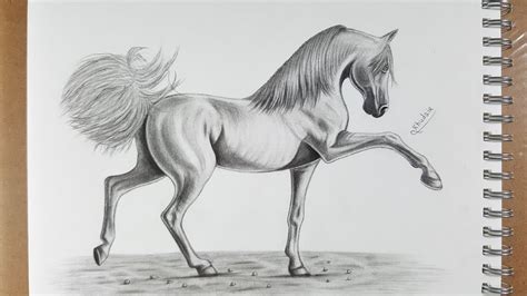 رسم حصان cjrqu6