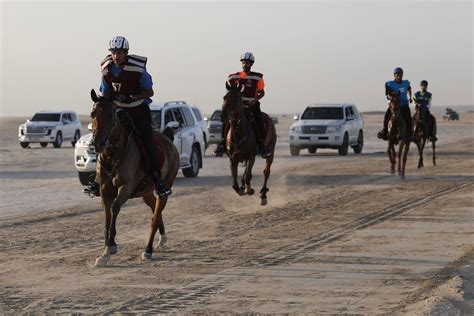 سباق الخيل اليوم في الرياض