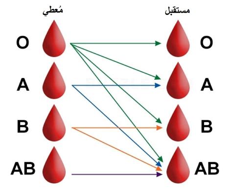 فصيلة الدم a+