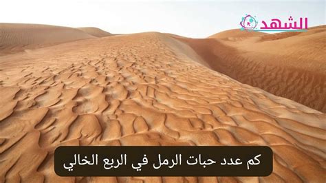 كم عدد حبات الرمل في الربع الخالي، تعتبر أكبر صحراء رملية في العالم، لأنها تفتقر إلى الحياة البشرية بسبب الظروف المناخية السائدة