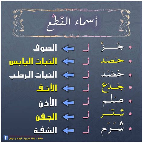 ما اسم نبات بحرف الضاد ، يوجد في اللغة العربية ثمانية وعشرون حرفاً، كما تحتوي على عدد كبير جداً من الكلمات التي لا نستطيع حصرها أبداً