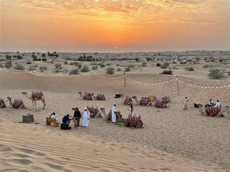متنزه سفاري الصحراء دبي