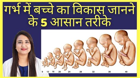 गर्भ में बच्चे का विकास, वीडियो के साथ - Baby Growth During …