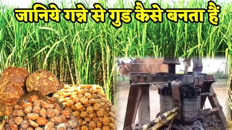 देशी सुर्ती कैसे बनता हैं।#youtube #viral #khaini #tobacco …