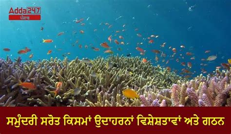 ਵਿਸ਼ੇਸ਼ਤਾਵਾਂ ਮਤਲਬ