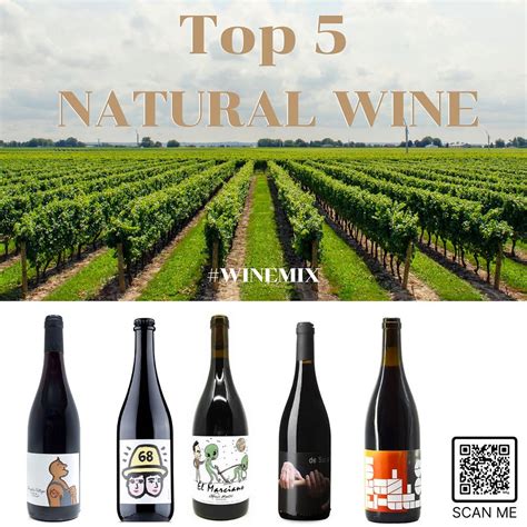 ค้นพบไวน์ที่ยอดเยี่ยมด้วย BIN 777 Wine ราคา ที่น่าทึ่ง!