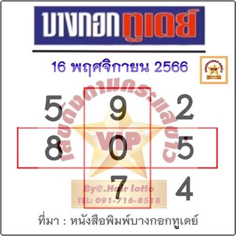 DNATEAM SEO ทำงานร่วมกับ หวย ไทยรัฐ เดลิ นิ ว ส์ บางกอก ทู เดย์