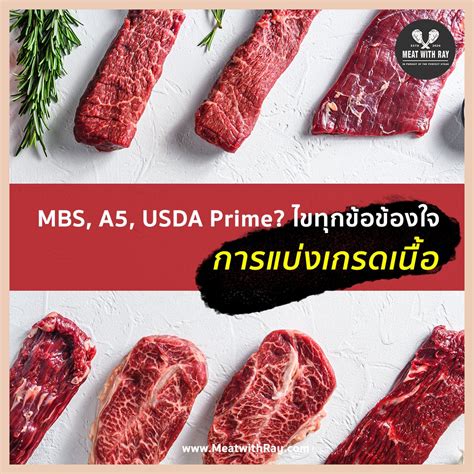 แนะนำ Monster Beef ราคา 777: สเต็กเนื้อวัวสไตล์อเมริกันชั้นเลิศในราคาสุดคุ้ม