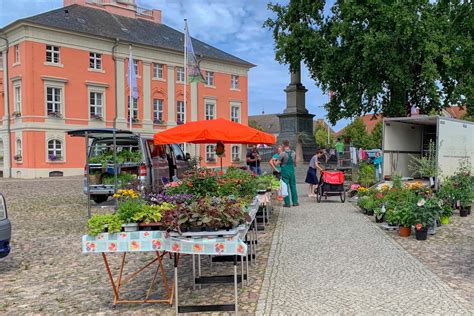 ᐅ Öffnungszeiten „Wochenmarkt“ Am Markt in Templin