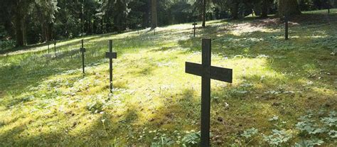 ᐅ Waldbestattung Fürstenfeldbruck: Professionell im Wald …