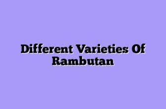 ᐉ Mexican Rambutan - A Complete Beginner's Guide - raincitystudios.com