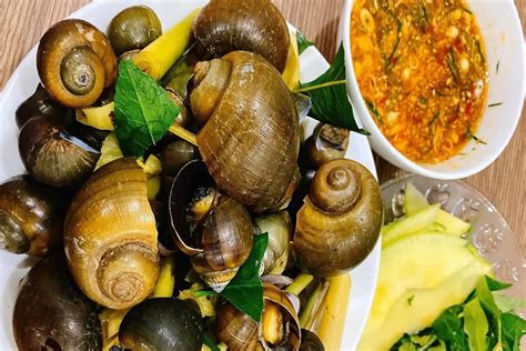 ốc lác | 2 cch lm c lc hp s