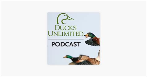 ‎A Duck in a Tree on Apple Podcasts