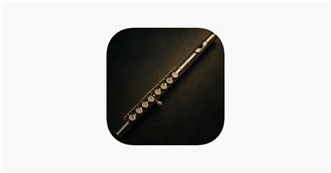 ‎Flute Sim App - balustradellc