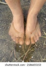 th?q=‎Feet Submerged від Low Flung