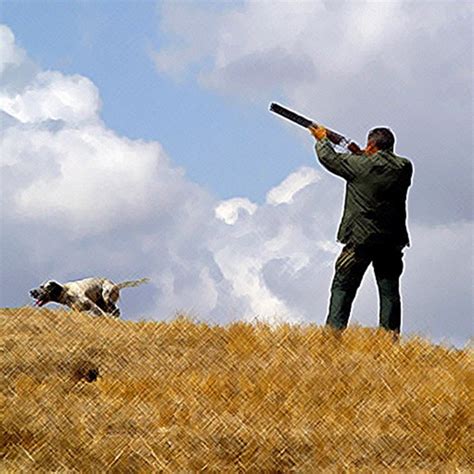 ‎Hunting - birdcall birdsong on the App Store