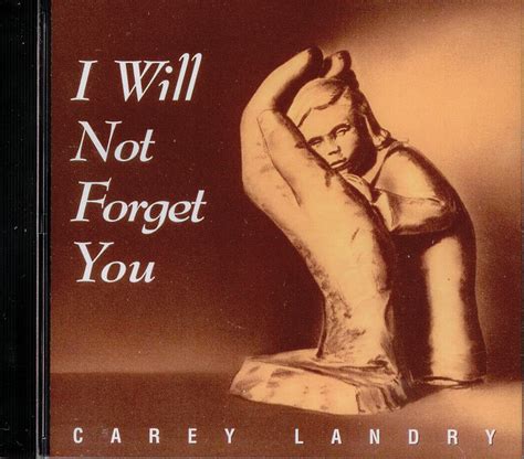 ‎I Will Not Forget You by Carey Landry on Apple Music