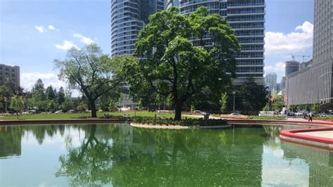 ‘Algae park’: Water in Toronto’s new Love Park turns bright green