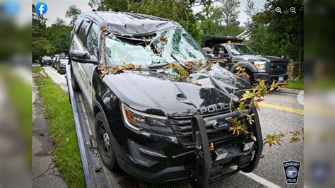 ‘Dodged a tragedy’: Officer escapes injury when tree falls on Cohasset police cruiser