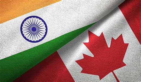 ‘Doesn’t make sense’: Business leaders say halted trade talks harm India and Canada