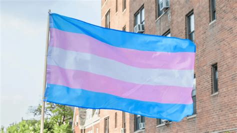 ‘Epidemic of violence’ against transgender community highlighted in new report
