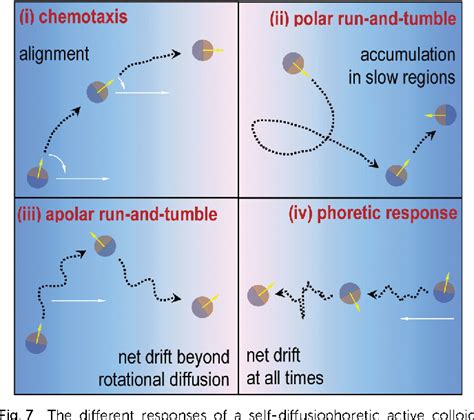 ‘Fuelled’ motion: phoretic motility and collective behaviour …