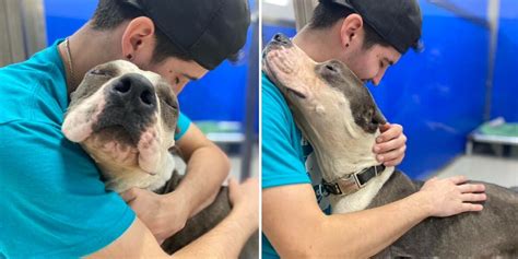 ‘Grateful’ Shelter Dog Thanks All His Rescuers With Loving Hugs - The Dodo