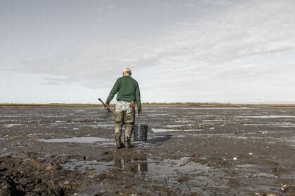 ‘It’s a lost cause’: Inside the last stand of New England’s soft-shell clam