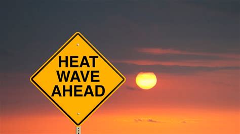 ‘It won’t go back to normal’: What this year’s heat waves mean for life in the coming years