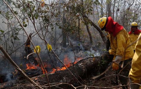 ‘Just want to help people’: Canadian wildfire experts training Bolivian counterparts