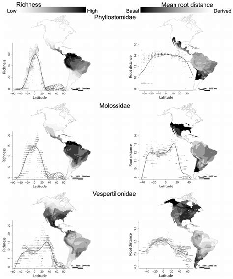 ‘Latitude’ and geographic patterns in species richness