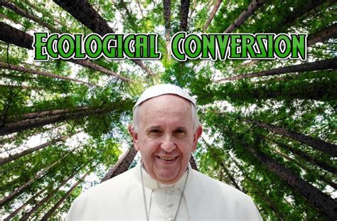 ‘Laudato Si’’ calls us to ecological conversion. What …