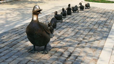 ‘Migration’ doesn’t have all its ducks in a row