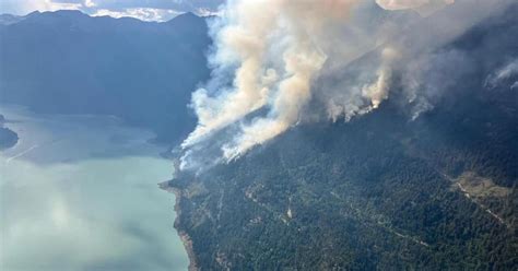 ‘Persistent’ bears force 160 firefighters to pull out of B.C. Interior camp