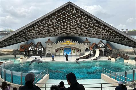 ‘Same old stuff’: Activists condemn government silence on animal care at Marineland