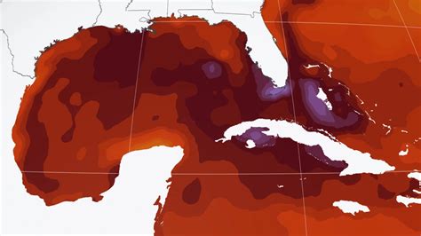 ‘Unprecedented’ ocean heat around Florida has scientists worried