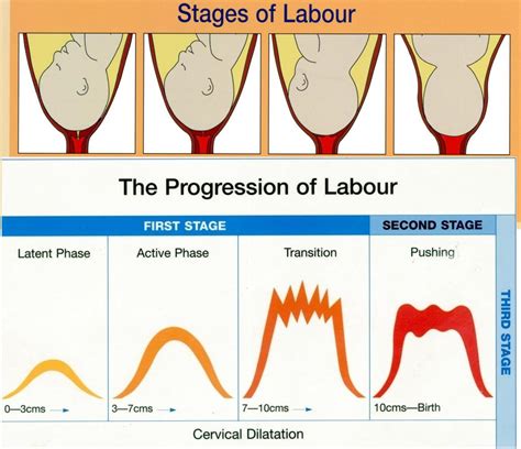 “Labor” or “Labour”—What