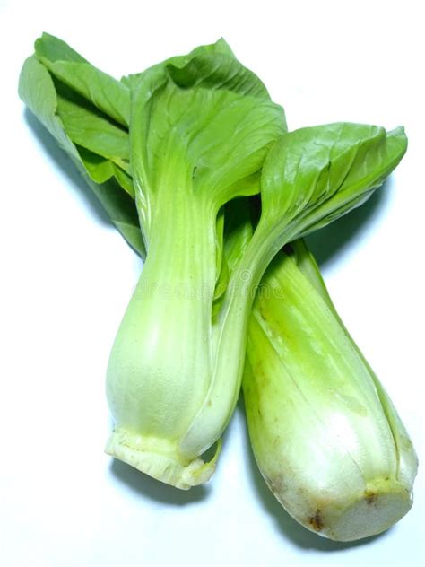 “Pakcoy", Sayuran Sehat dengan Banyak Manfaat - muktibox.com