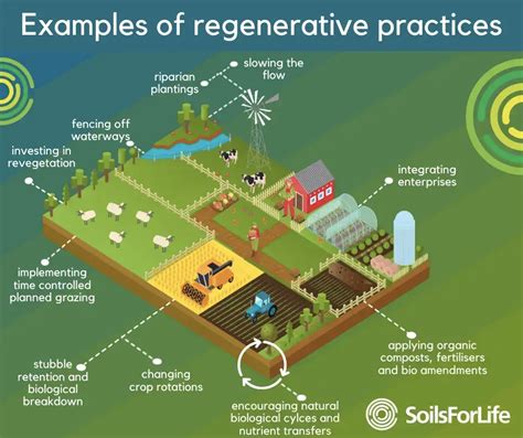 “Regenerative Agriculture: What Is It, How Can ... - Ann Arbor …