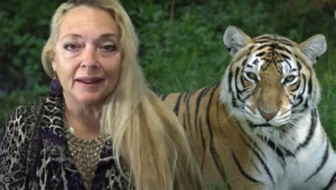 “Tiger King” subject Carole Baskin weighs in on big cat hunting in Colorado