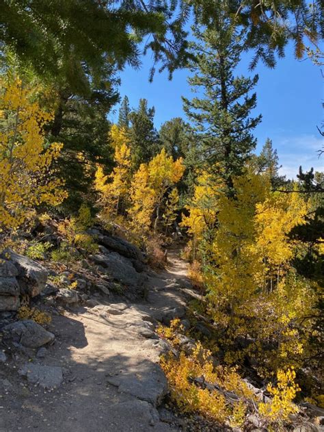 “We literally get run over”: Golden Gate Canyon State Park braces for another busy leaf-peeping season