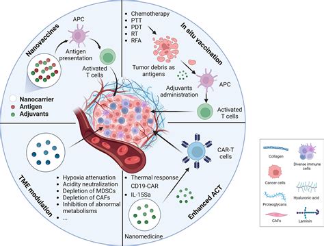 ‪Immunological Disorders and Immunotherapy‬ - ‪Google Scholar‬