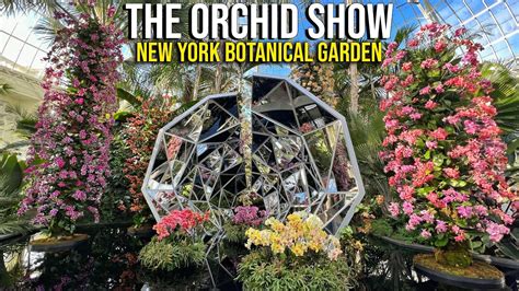 ⁴ᴷ Virtual Tour of The Orchid Show at New York Botanical Garden …