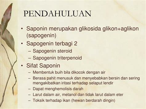 √ Pengertian Saponin: Contoh dan Jenis-Jenis Saponin - Bertani.co.id