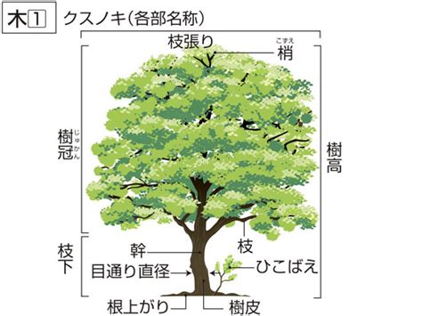 「き(き・こ・もく・ぼく)」の意味や使い方 わかりやすく解説 …