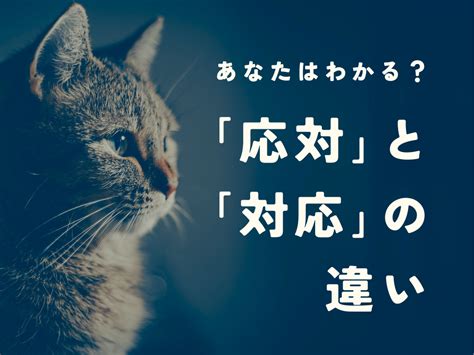 「対応」と「応対」の意味の違いと使い分けを例文つきで解説