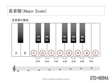 「音階（スケール）」を理解しよう！その構造と基礎知識を