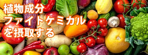 「食物繊維・ファイトケミカル」｜食養相談室 健康コラム｜日 …