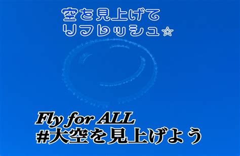 「Fly for ALL #大空を見上げよう」フライト in大阪湾 実施予定 …