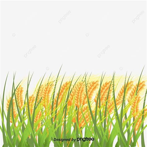 【ащօдебከρօχυшեηևհ】 Gambar sawah kartun png dan vektor dengan background